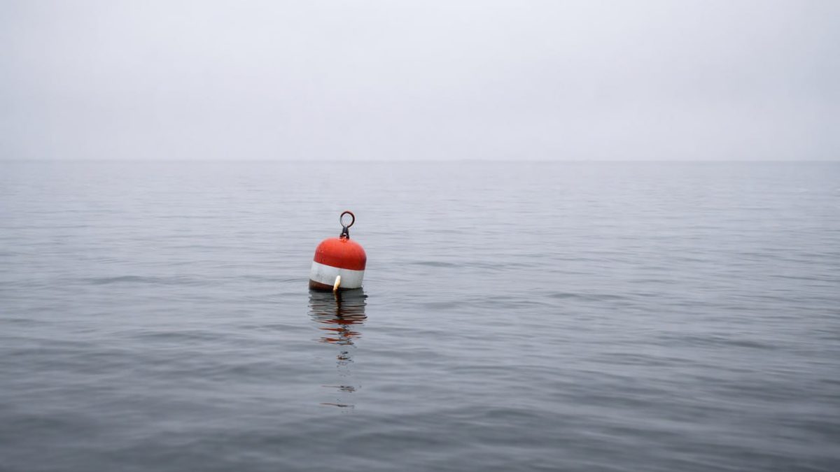 EuGH Geldwäsche Verbandssanktion C-291/24 — Boje im Nebel Grenzmarkierung — AML Compliance GwG