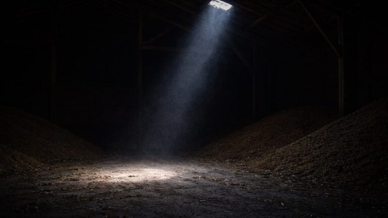 Ermittlung Durchsuchung — Dunkle Scheune einzelner Lichtstrahl — Strafprozessrecht