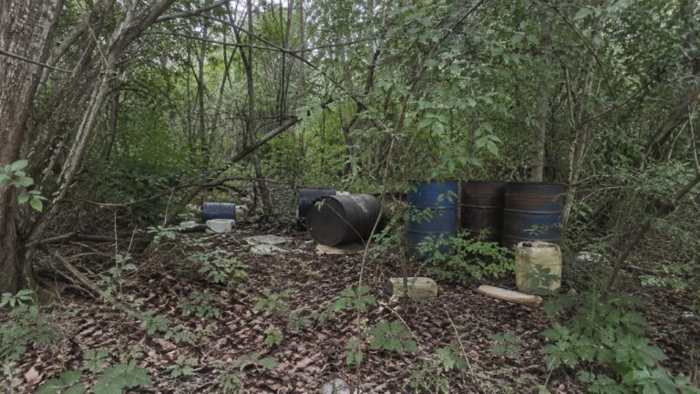 Illegale Ölfässer im Wald — § 326 StGB wilder Müll illegale Abfallentsorgung Umweltstrafrecht