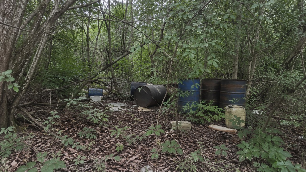 Illegale Ölfässer im Wald — § 326 StGB wilder Müll illegale Abfallentsorgung Umweltstrafrecht