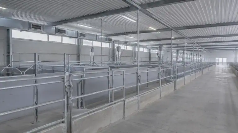 Sachliche leere Stallgasse — betriebliche Tierschutz-Compliance und Kontrollpflichten im Schlachtbetrieb.