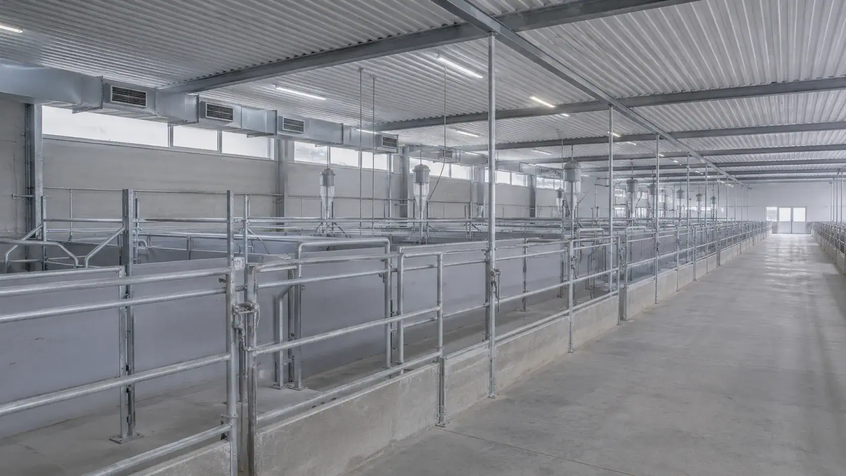 Sachliche leere Stallgasse — betriebliche Tierschutz-Compliance und Kontrollpflichten im Schlachtbetrieb.