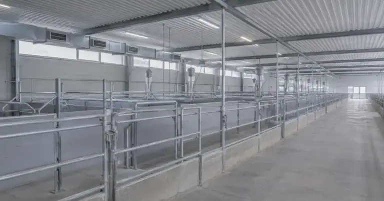 Sachliche leere Stallgasse — betriebliche Tierschutz-Compliance und Kontrollpflichten im Schlachtbetrieb. (KI-generiert)