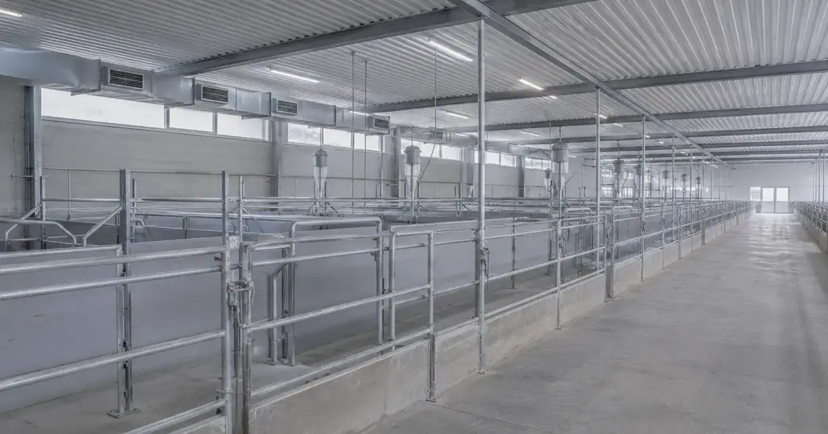 Sachliche leere Stallgasse — betriebliche Tierschutz-Compliance und Kontrollpflichten im Schlachtbetrieb. (KI-generiert)